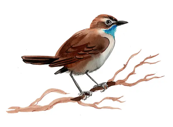 Bird Tree Ink Watercolor Sketch — Stock Photo, Image