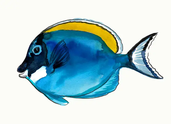 Blåkorallfisk Handritat Bläck Och Akvarell Skiss Stockbild