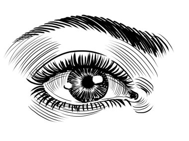 Güzel kadın gözü. El çizimi siyah ve beyaz çizim