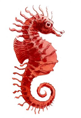 Kırmızı suluboya deniz atı. El çizimi illüstrasyon