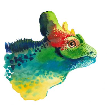 İguana kertenkele kafası. Mürekkep ve suluboya skeç