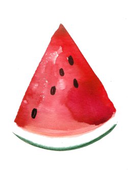 Bir dilim karpuz. El çizimi suluboya çizimi