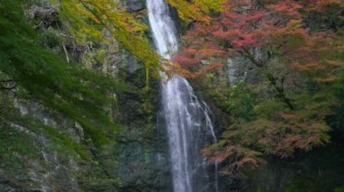 Sonbahar mevsiminde kırmızı akçaağaç yaprağıyla Minoo şelalesi, Osaka, Japonya
