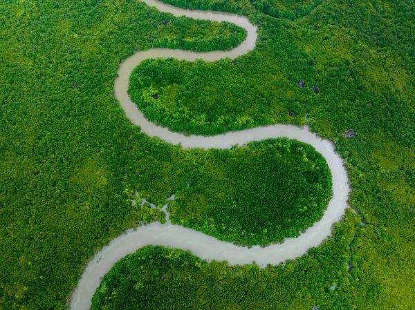 Phang Nga湾的空中俯视图 泰国红树林背景纹理 — 图库照片