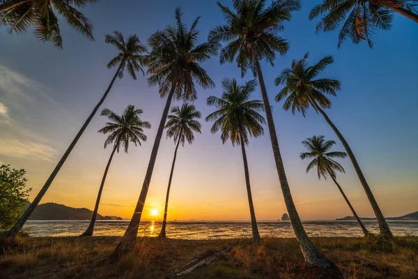 Koh Yao Yai Laem Had海滩 椰子棕榈树挡住日出 — 图库照片