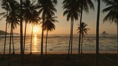 Hindistan cevizi palmiyelerinden denize uçan insansız hava aracı Laem 'in kumsalı, Koh Yao Yai, Tayland