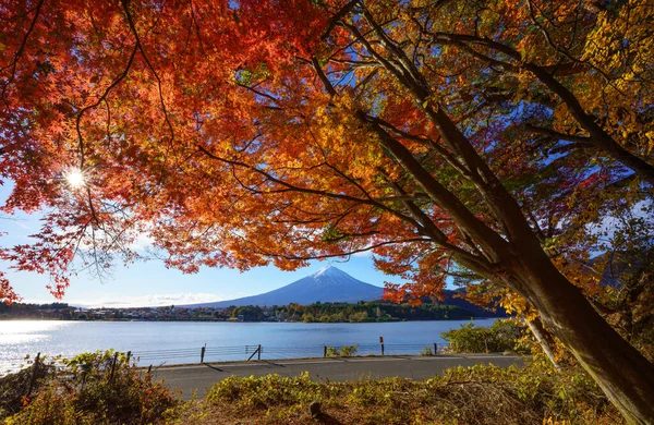 日本川崎湖秋天红枫树的山地富士 图库照片