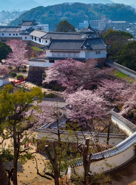 日本兵库县喜弥士城堡春季樱花盛开时的空中景观 图库照片