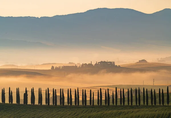 意大利托斯卡纳 日出时分翻滚的山丘和绿地 免版税图库图片