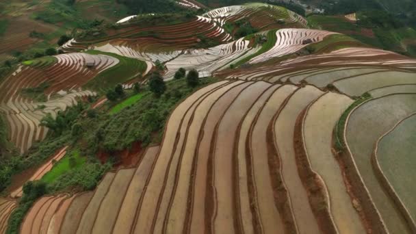 Luftaufnahme Eines Fluges Über Reisterrassenfelder Cang Chai Yen Bai Vietnam — Stockvideo