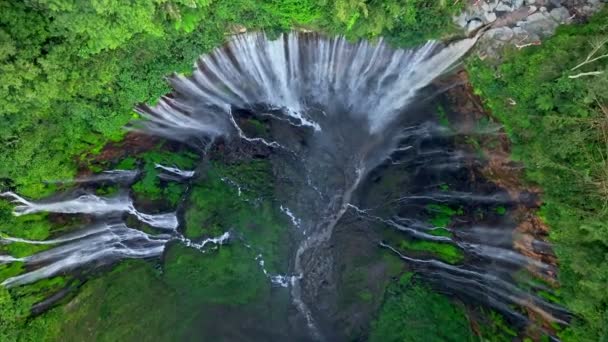 Von Oben Nach Unten Luftaufnahme Die Tumpak Sewu Wasserfall Indonesien — Stockvideo