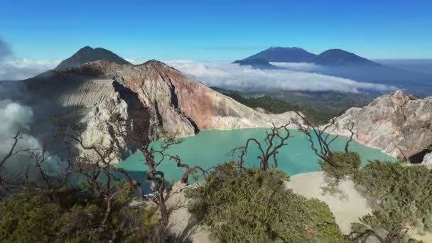 Aerial View Flying Pass Tree Reveal Mountain Kawah Ijen Volcano — Stock Video