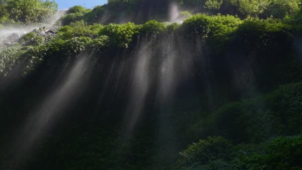 Cachoeira Madakaripura Cachoeira Mais Alta Java Oriental Indonésia — Vídeo de Stock