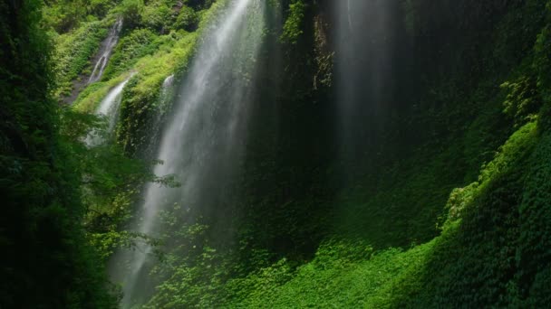 Madakaripura Waterfall Highest Waterfall East Java Indonesia — Stock Video