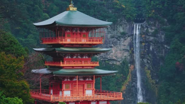 Kırmızı Pagoda Nachi Wakayama Japonya Ile Nachi Şelalesi — Stok video