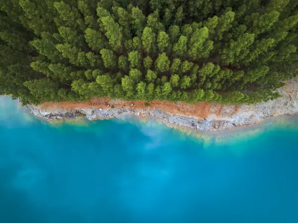 Yağmur ormanlarında çam ağacı olan mavi gölet, Tayland, Phang Nga 'da hava aracı görüntüsü.