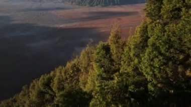 Hava aracı görüntüsü ağacın üzerinden uçar ve Bromo volkan kraterini, Endonezya 'yı ortaya çıkarmak için yukarı doğru eğilir.