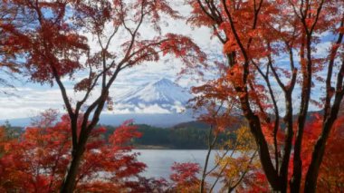 Sonbaharda kırmızı akçaağaçlı Fuji Dağı, Kawaguchiko Gölü, Japonya