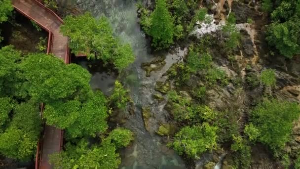 Вид Сверху Мангровый Лес Чистой Водой Краби Таиланд — стоковое видео