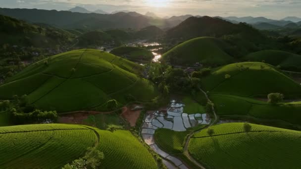 从空中俯瞰 俯瞰着越南府的龙哥茶山 — 图库视频影像
