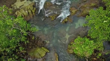 Hava gözlem dronu alçalıyor ve temiz su akıntısı ile mangrov ormanını ortaya çıkarıyor, Krabi, Tayland