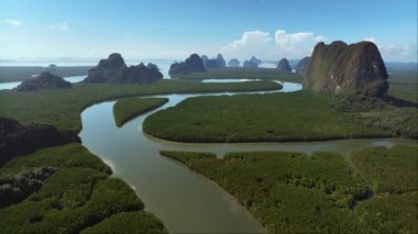 Mangrov ormanının hava manzarası, nehrin üzerinde uçan insansız hava aracı, Phang nga, Tayland
