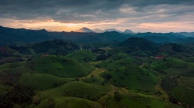 Gün batımında Long Coc çay tepesinde uçan insansız hava aracı görüntüsü Phu Tho, Vietnam