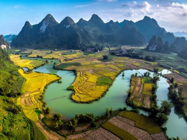 Phong Nam, Trung Khanh, Cao Bang, Vietnam 'daki nehir kenarındaki pirinç tarlalarının insansız hava aracı görüntüsü.
