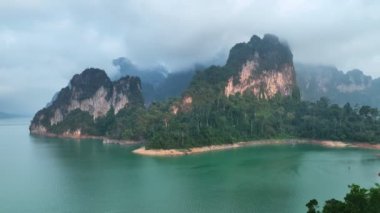 Hava aracı Tayland 'daki Khao Sok Ulusal Parkı gölündeki ağacın üzerinden uçuyor.