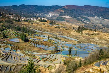 Yuanyang Pirinç Terası 'nın hava aracı görüntüsü gün doğumunda, Yunnan, Çin