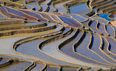 Yuanyang Pirinç Terası 'nın hava aracı görüntüsü gün doğumunda, Yunnan, Çin