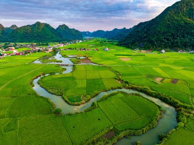 Gün batımında Bac Son pirinç tarlası vadisi, Lang Son, Vietnam