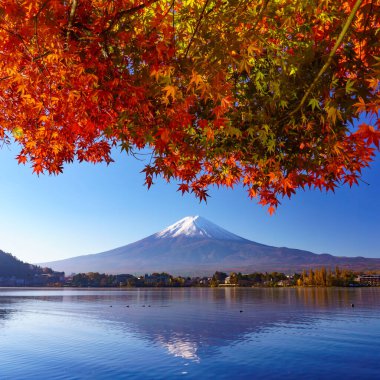 Sonbaharda kırmızı akçaağaçlı Fuji Dağı, Kawaguchiko Gölü, Japonya