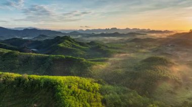 Phang Nga, Tayland 'da, güneş doğarken palmiye yağı tarlası üzerinde uçan yüksek hızlı hava aracı.