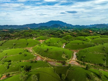 Aerial view of beatiful sunset at Long Coc tea hill, Phu Tho province, Vietnam
