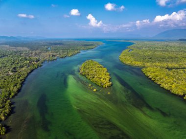 Koh Prathong Adası, Tayland mangrov ormanlarının arka plan dokusunun yukarıdan aşağı görüntüsü.