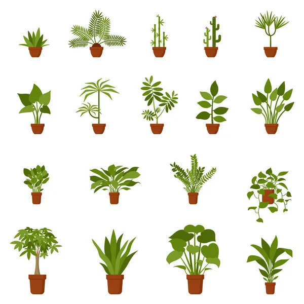 Home Pot Bloem Plant Vector Illustratie Set Binnenkantoor Tuinieren Tuinbouw — Stockvector