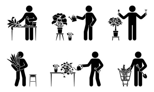 Strichmännchen Pflanzen Hausblumen Vektor Illustrationsset Stickman Person Kümmert Sich Zimmerpflanze Vektorgrafiken