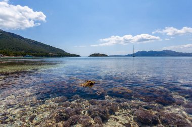 İspanya 'nın Balear Adaları' ndaki Palma de Mallorca 'da kristal berrak suyu olan harika bir sahil. Akdeniz 'de yaz tatili, Avrupa' nın en iyi seyahat yeri..