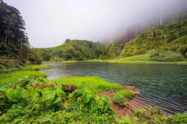 Azores 플로레스 알라고이나 호수로 흐르는 하나의 표면에 폭포와 상징적 포르투갈 로열티 프리 스톡 이미지