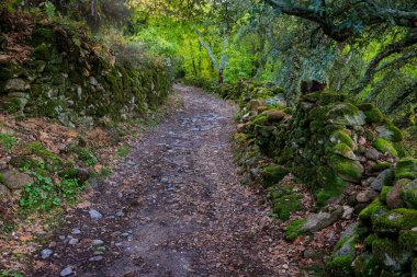 Eski yol. Montanchez 'de yürüyüş parkuru.