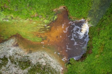 Dehesa de la Luz 'daki bir derenin havadan görüntüsü. Extremadura. İspanya.