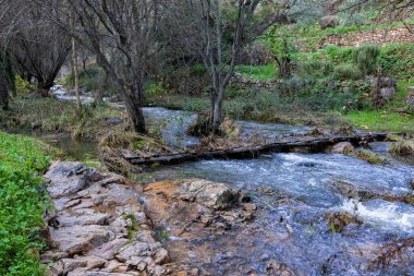 Penha Garcia yakınındaki Ponsul Nehri'nde manzara. Portekiz.