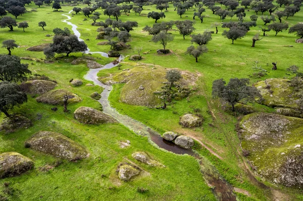 Dehesa Luz Daki Bir Derenin Havadan Görüntüsü Extremadura Spanya Telifsiz Stok Imajlar