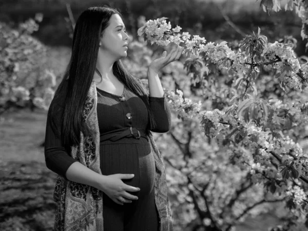 Gravid Ung Kvinna Bland Körsbärsträd — Stockfoto