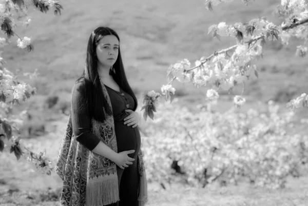 Pregnant young woman among cherry trees.