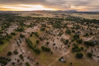 Extremadura 'da güneş doğarken manzara. İspanya.