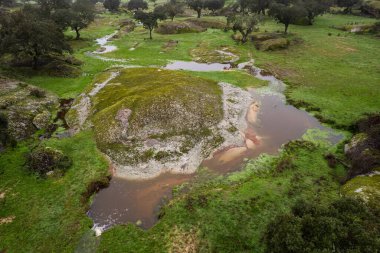 Dehesa de la Luz 'daki bir derenin havadan görüntüsü. Extremadura. İspanya.