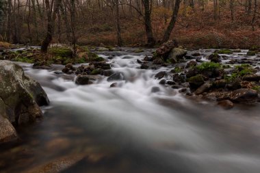 Garganta de Pedro Chate. Jaraiz de la Vera yakınlarındaki manzara. Caceres. Extremadura. İspanya.