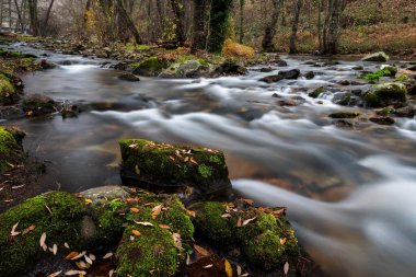 Garganta de Pedro Chate. Jaraiz de la Vera yakınlarındaki manzara. Caceres. Extremadura. İspanya.